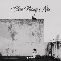 Phạm Lê Yến Nhi & Melomix - Sao Không Nói