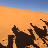 Nat King Cole - Desert Trip