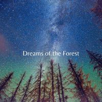 Oto Roth - Dreams of the Forest