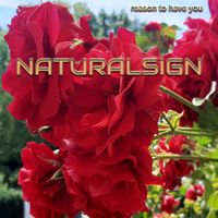 Naturalsign - Reason to Have You