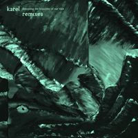 Karel - Denouncing The Hypocrisy Of Our Time (Remixes)