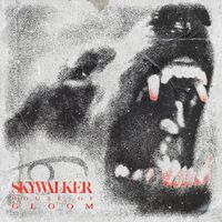 Skywalker - House of Gloom