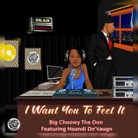 Big Choowy the Don - I Want You to Feel It (feat. Hoandi De'Vaugn)