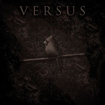 Versus - No Safety