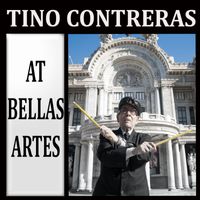 Tino Contreras - Tino Contreras at Bellas Artes