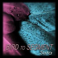 Sista - Bird to Segment