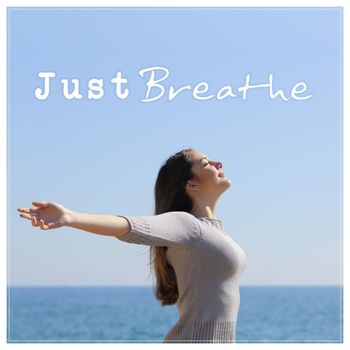 Various Artists - Just Breathe