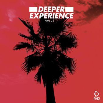 Various Artists - Deeper Experience, Vol. 41 (Explicit)
