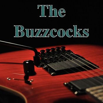 The Buzzcocks - The Buzzcocks - BBC Radio Broadcast John Peel Session London 7th September 1977.