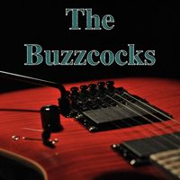 The Buzzcocks - The Buzzcocks - BBC Radio Broadcast John Peel Session London 18th November 1978.