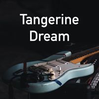 Tangerine Dream - Tangerine dream - BBC Radio Broadcast In Concert Series Fairfields Hall Croydon UK 23rd october 1975.