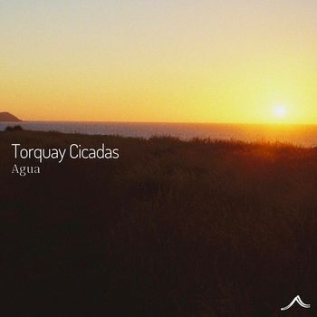 Agua - Torquay Cicadas