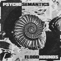 FloodHounds - Psychosemantics (Single)