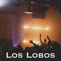 Los Lobos - Los Lobos - KSAN FM Broadcast December 1987 Second Set.