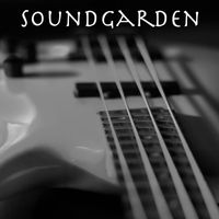 Soundgarden - Soundgarden - WBCN FM Broadcast Paradise Club Boston MA 21st January 1990.