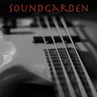 Soundgarden - Soundgarden - Lollopalooza FM Broadcast Kitsap County Fairground Bremerton Washington 22nd June 1992.