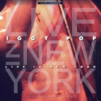 Iggy Pop - Iggy Pop - King Biscuit Flower Hour FM Broadcast New York 1989 Part Two.