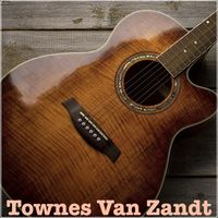 Townes Van Zandt - Townes Van Zandt - WETS FM Broadcast The Down Home Club Johnson City 25th April 1985.