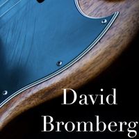 David Bromberg Band - David Bromberg Band - WMMR FM Broadcast New York February 1977.