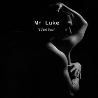 Mr Luke - I Feel You