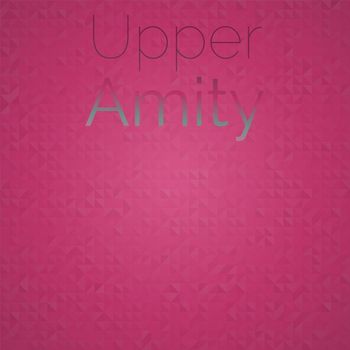 Various Artists - Upper Amity