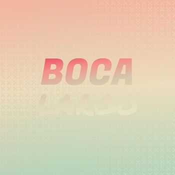 Various Artists - Boca Largo