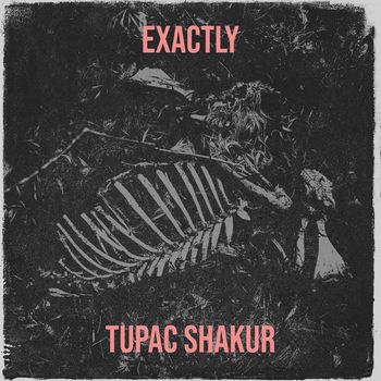 Tupac Shakur - Exactly (Explicit)
