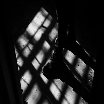 Brane - Beginnings