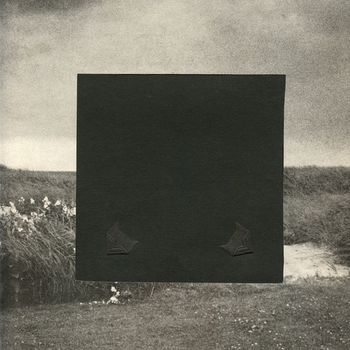 Jacob David - Lunefuld