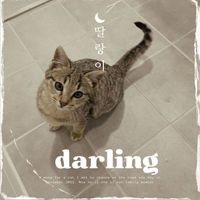 James - Darling Song