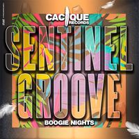 Sentinel Groove - Boogie Nights
