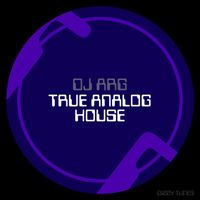 Dj ARG - True Analog House