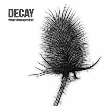 Decay - What's Introspection?