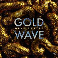Dave swayze - Goldwave