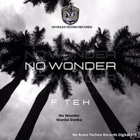 F.Tek - No Wonder