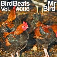 Mr Bird - Bird Beats #006