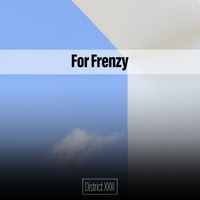 Various Artists - For Frenzy District XXIII