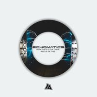 Echomatics - Something In The Noise / Riddle Me This