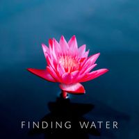 Momento - Finding Water