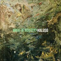 HALUSO - What If You Fly?