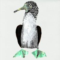 Cosmo Sheldrake - Galápagos (Original Series Soundtrack)