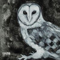 Cosmo Sheldrake - Wake Up Calls