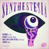 Various Artist - Synthestesia