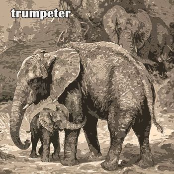 The Four Freshmen - Trumpeter