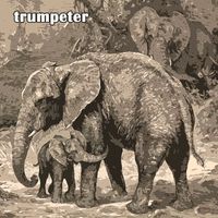 Alexis Korner's Blues Incorporated - Trumpeter