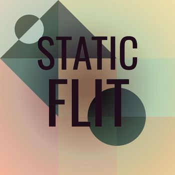 Various Artists - Static Flit