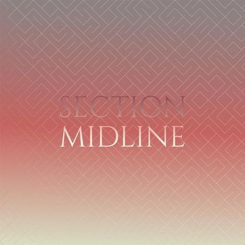 Various Artists - Section Midline