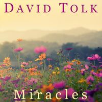 David Tolk - Miracles