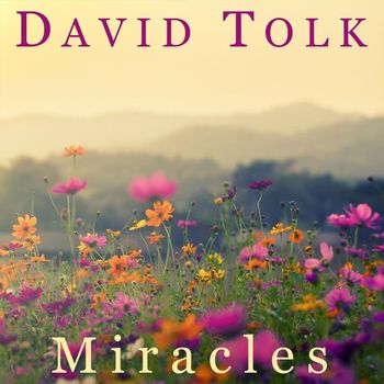 David Tolk - Miracles
