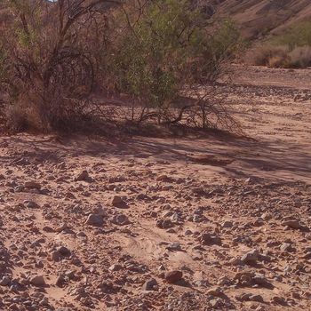 Tim Clark - Giving Joy